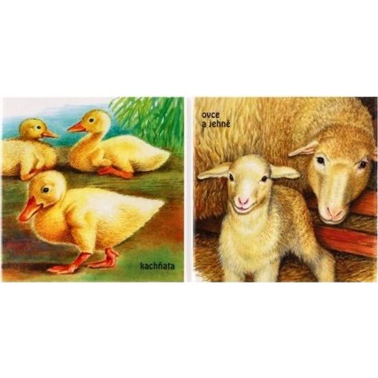 Knížka leporelo Mláďatka