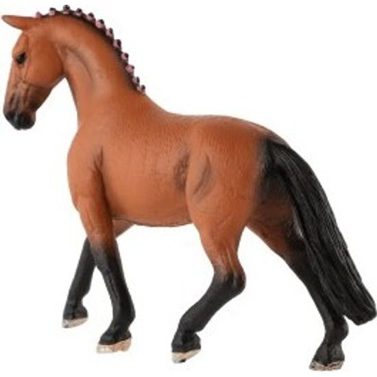 Kůň domácí hnědák zooted