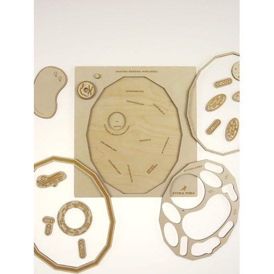 Rastlinná bunka - edukatívne puzzle - ČESKÁ VERZIA