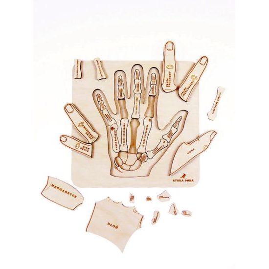 Ruka - anatomie - edukativní dřevěné puzzle - ČESKÁ VERZE
