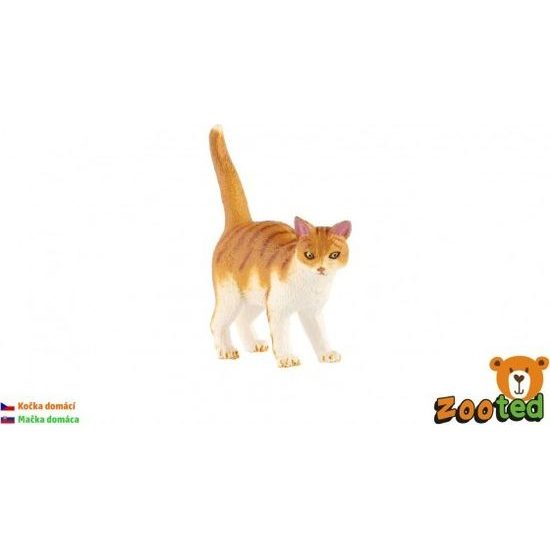 Kočka domácí zooted