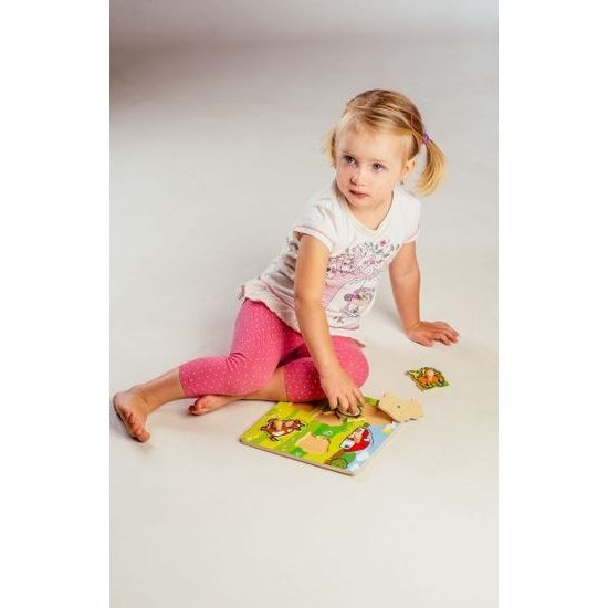 Dřevěná Vkládačka - Moje první zvířátka 6ks