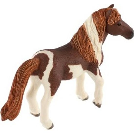 Kůň domácí Shetlandský pony zooted