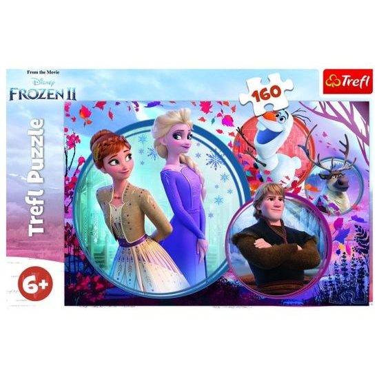 Puzzle Ledové království II/Frozen II 160 dílků