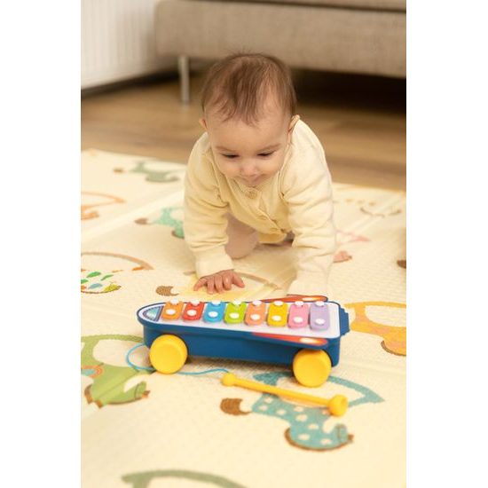 Edukační hračka - duhové činely