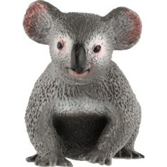 Koala medvídkovitý zooted