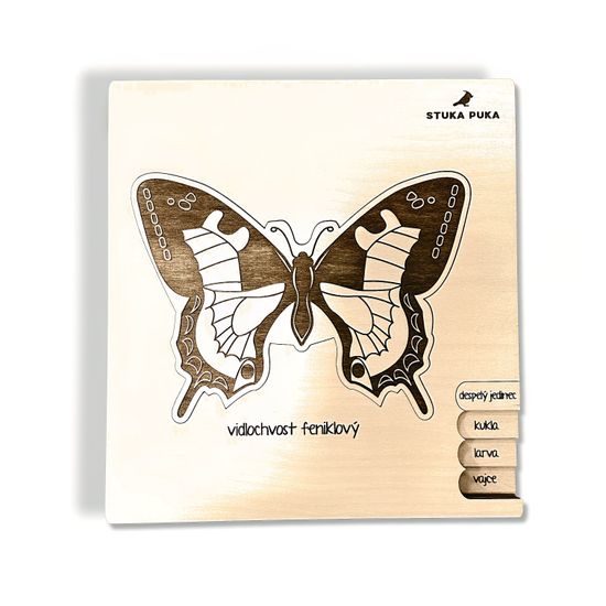 Motýľ - životný cyklus - SLOVENSKÁ VERZIA