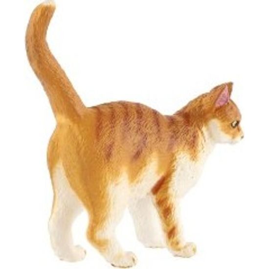 Kočka domácí zooted