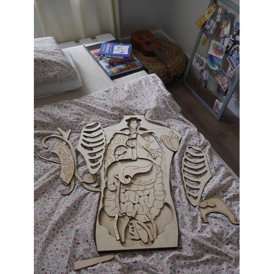 Telo - anatómia - edukatívne drevené puzzle - ČESKÁ VERZIA