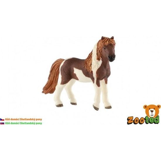 Kůň domácí Shetlandský pony zooted