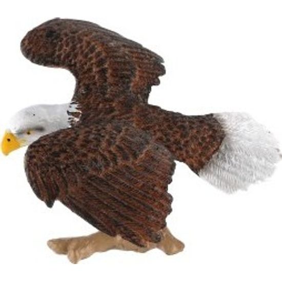 Orel bělohlavý zooted