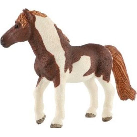 Kůň domácí Shetlandský pony zooted