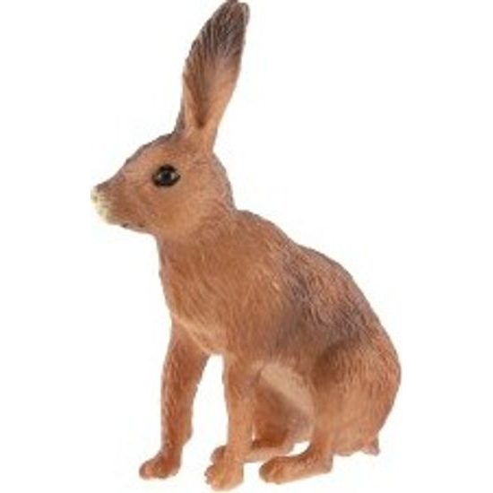 Zajíc polní zooted