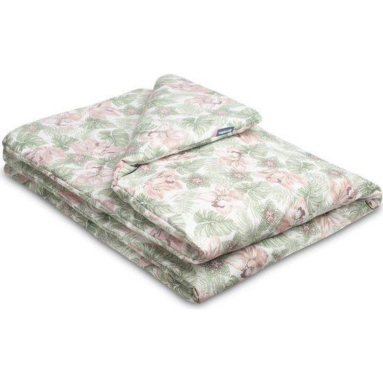 Celoroční souprava, Clematis