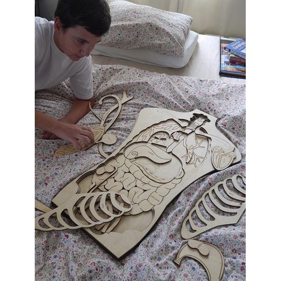 Telo - anatómia - edukatívne drevené puzzle - ČESKÁ VERZIA