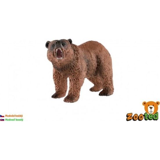 Medvěd hnědý zooted