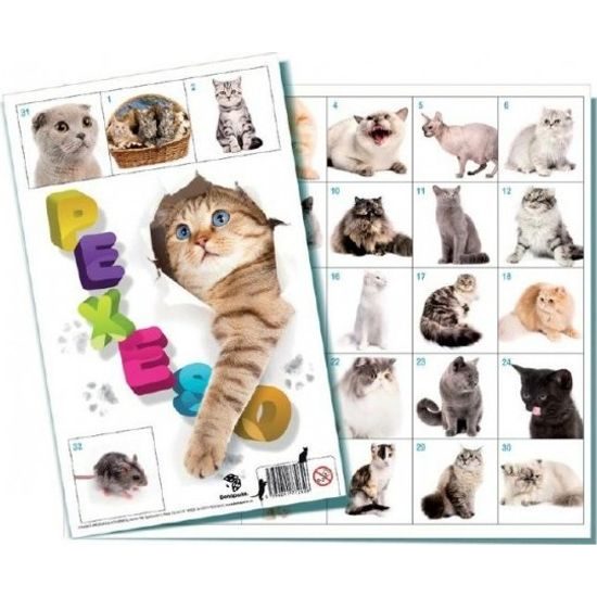 Pexeso Kočky společenská hra 32 obrázkových dvojic