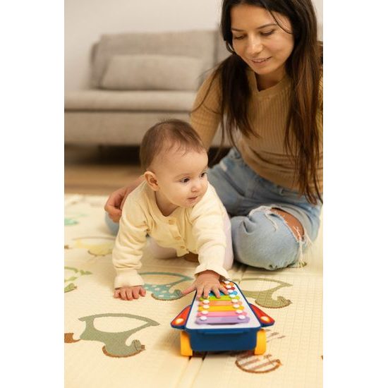 Edukační hračka - duhové činely