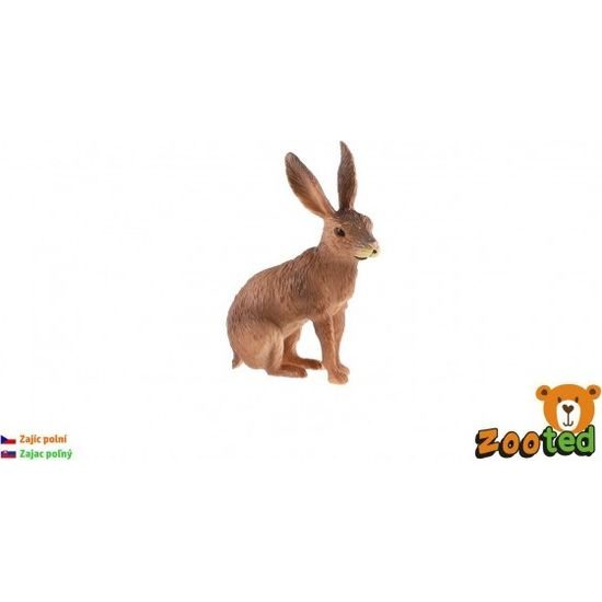 Zajíc polní zooted