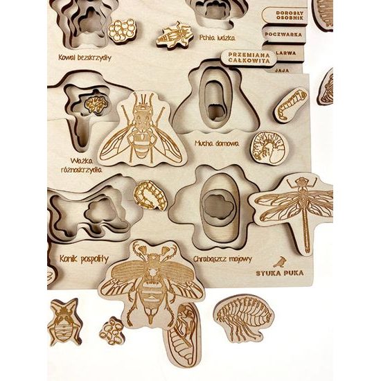 Proměna dokonalá, nedokonalá - životní cykly - set - SLOVENSKÁ VERZE