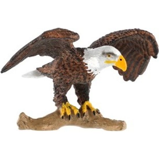 Orel bělohlavý zooted