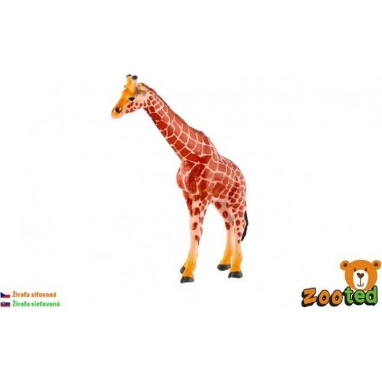 Žirafa síťovaná zooted