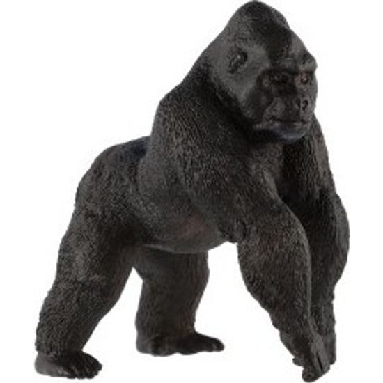 Gorila horská zooted