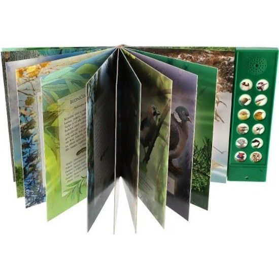 Zvuková knížka Ptáci našich lesů