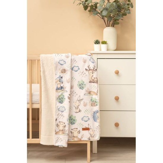 Dětská plyšová dečka 80x100 cm - Procházka