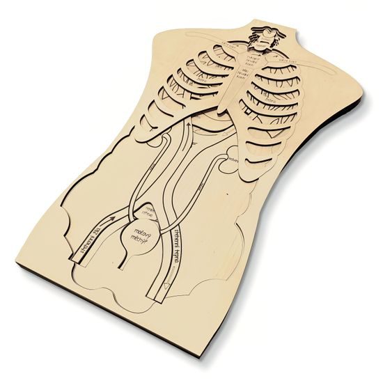 Telo - anatómia - edukatívne drevené puzzle - ČESKÁ VERZIA