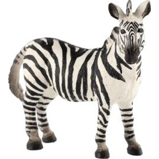 Zebra horská zooted