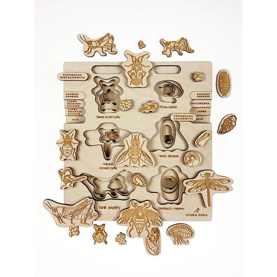 Proměna dokonalá, nedokonalá - životní cykly - set - SLOVENSKÁ VERZE