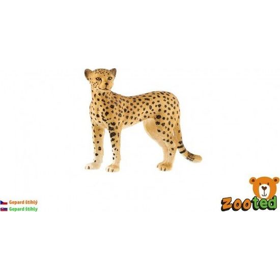Gepard štíhlý zooted