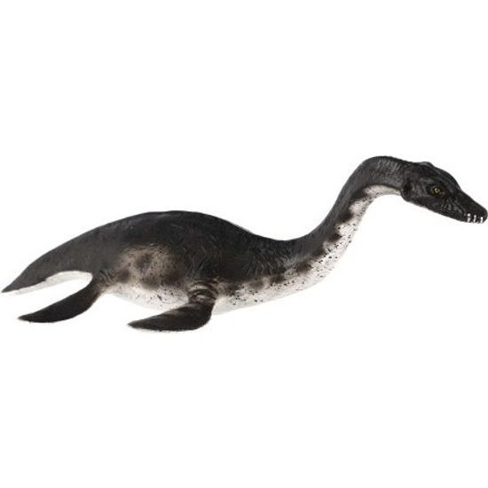 Plesiosaur zooted