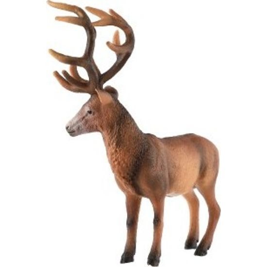 Jelen evropský zooted