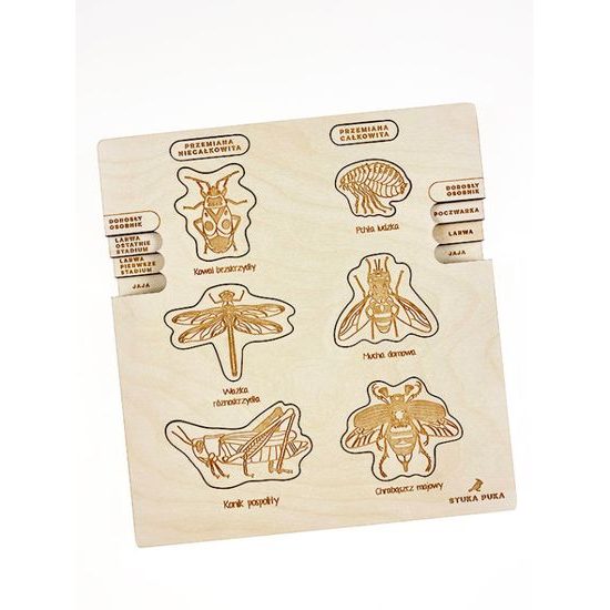 Proměna dokonalá, nedokonalá - životní cykly - set - SLOVENSKÁ VERZE