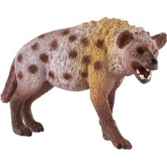 Hyena skvrnitá zooted