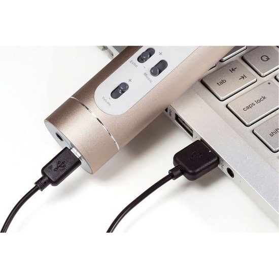Zlatý Mikrofon karaoke Bluetooth na baterie s USB kabelem