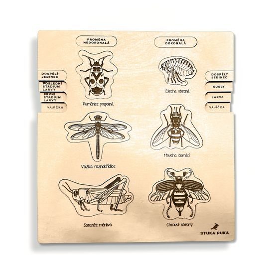 Premena dokonalá, nedokonalá - životné cykly- set - ČESKÁ VERZIA