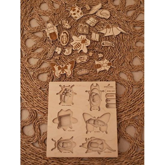 Hmyz - životní cyklus - set 6 - SLOVENSKÁ VERZE