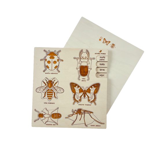 Hmyz - životní cyklus - set 6 - SLOVENSKÁ VERZE