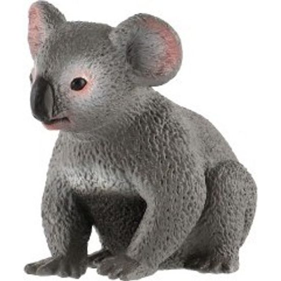 Koala medvídkovitý zooted