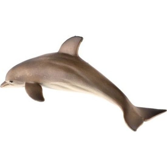 Delfín skákavý zooted