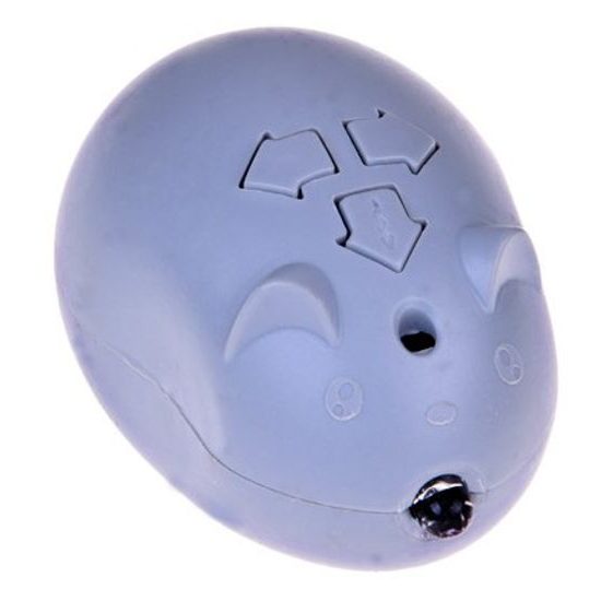 Ještěrka na dálkové ovládání