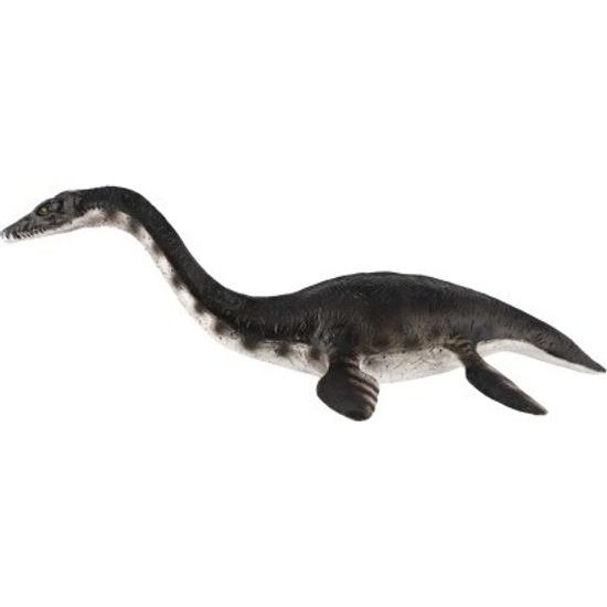 Plesiosaur zooted
