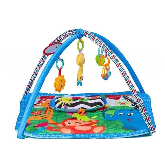 Ecotoys hracia deka s hudobnou hračkou