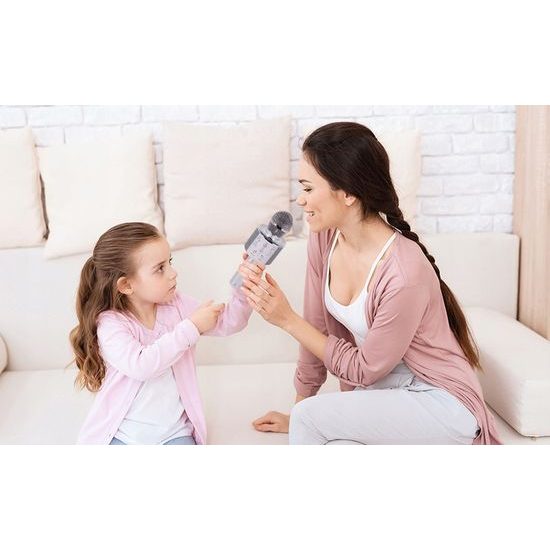 Bezdrátový karaoke mikrofon Hifi Speaker stříbrný