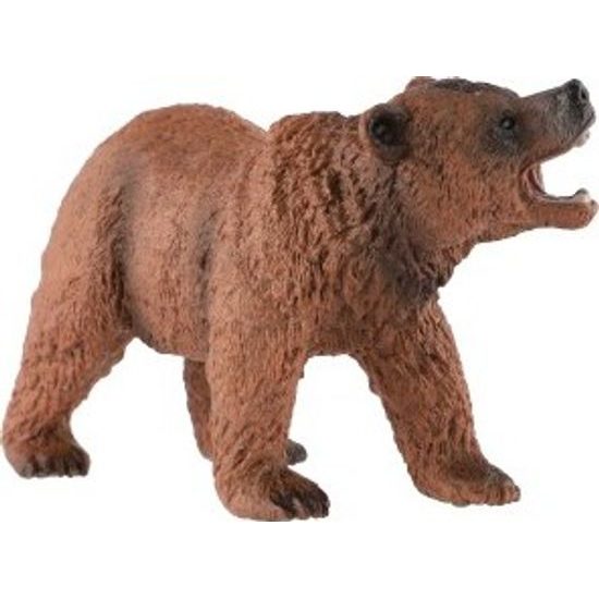 Medvěd hnědý zooted