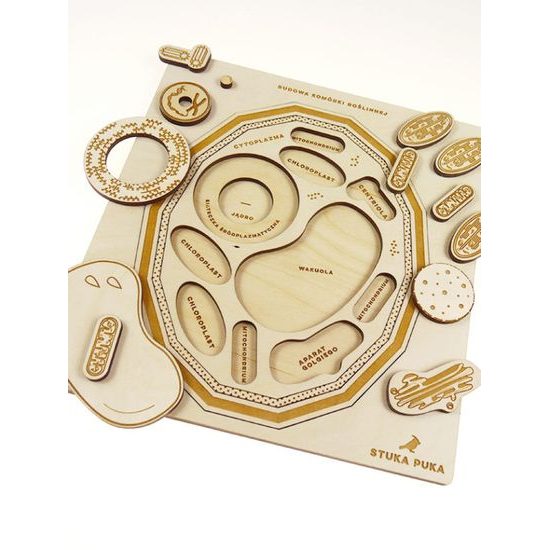 Rastlinná bunka - edukatívne puzzle - SLOVENSKÁ VERZIA