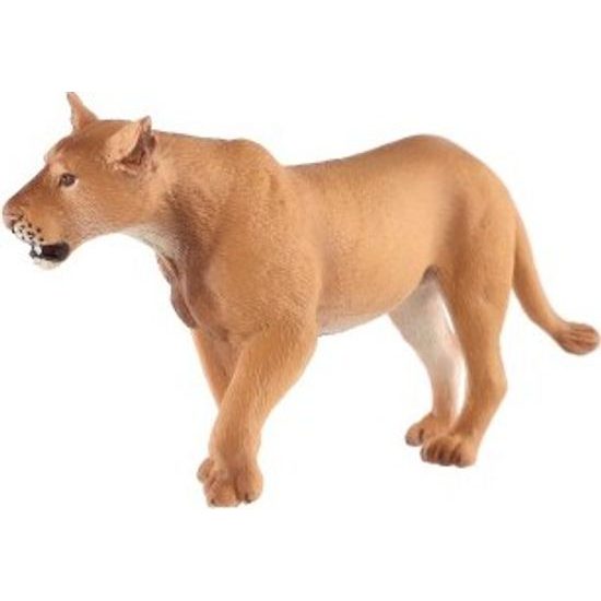 Lev berberský lvice zooted